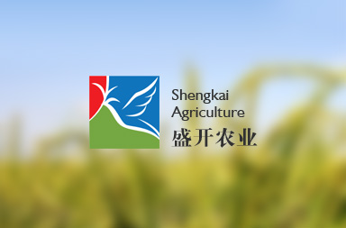 哈爾濱網(wǎng)站建設(shè),內(nèi)蒙古網(wǎng)站設(shè)計(jì)制作