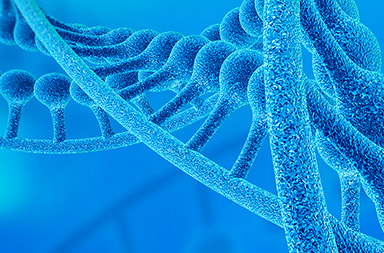 英文網(wǎng)站建設,外貿網(wǎng)站設計